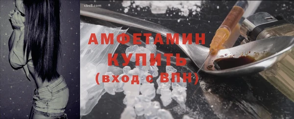 хмурый Магас