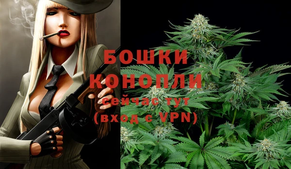 Альфа ПВП Майский