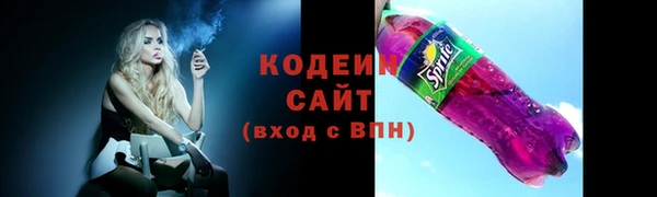 хмурый Магас