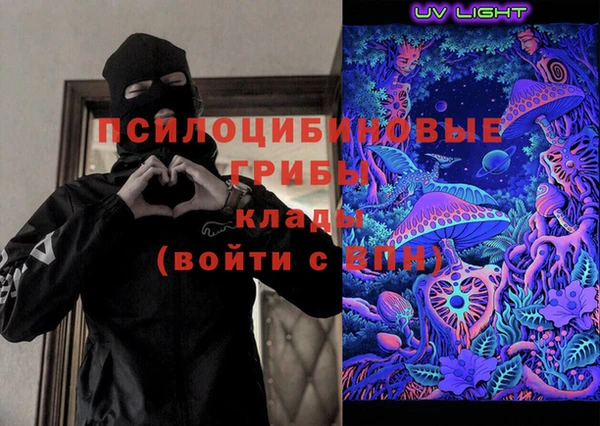 хмурый Магас