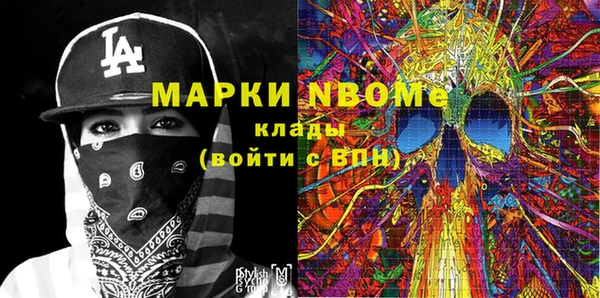 хмурый Магас