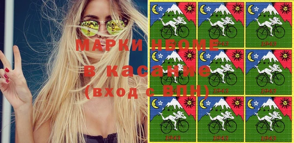хмурый Магас