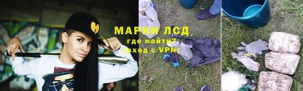 хмурый Магас