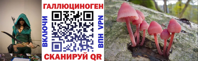Псилоцибиновые грибы Psilocybine cubensis Тула